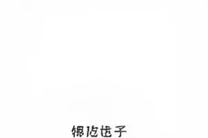 综艺剪辑争议复盘节目画面封面